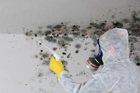 Best Crawl Space Mold Remediation  in Gibbstown, NJ